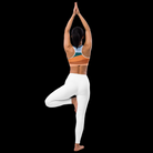 Range Breathable Sports Bra - Fresh And Famous